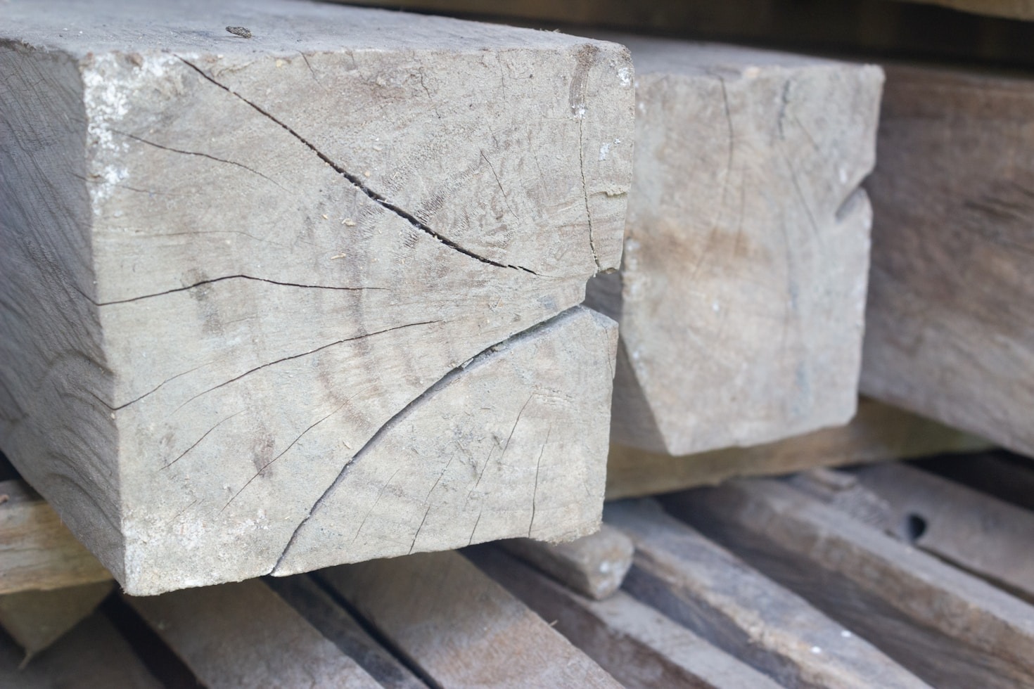 Maximizing Your Carpentry Skills with the Best Lumber